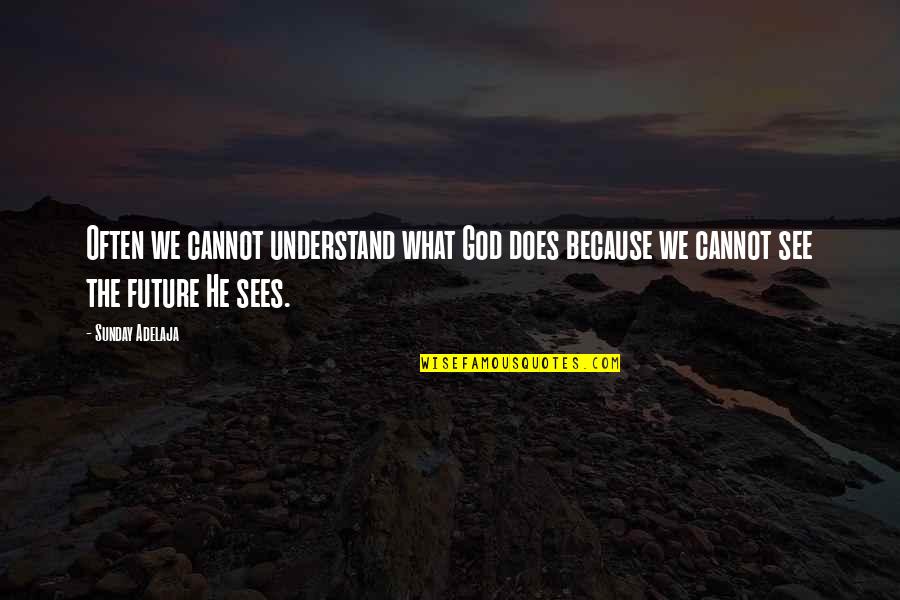 Spadari Titanic Quotes By Sunday Adelaja: Often we cannot understand what God does because