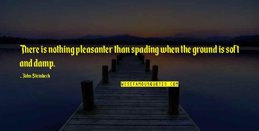 Spading Quotes By John Steinbeck: There is nothing pleasanter than spading when the