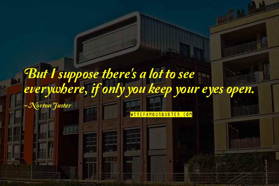 Spaggiari Classe Quotes By Norton Juster: But I suppose there's a lot to see