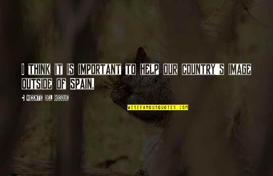 Spain Country Quotes By Vicente Del Bosque: I think it is important to help our