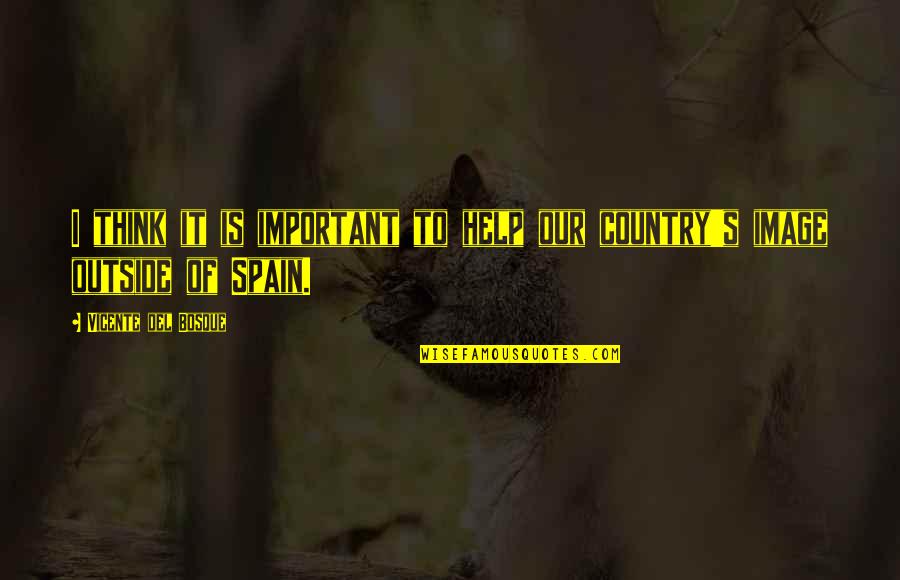 Spain Quotes By Vicente Del Bosque: I think it is important to help our
