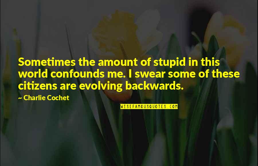 Spalding Gray Quotes By Charlie Cochet: Sometimes the amount of stupid in this world