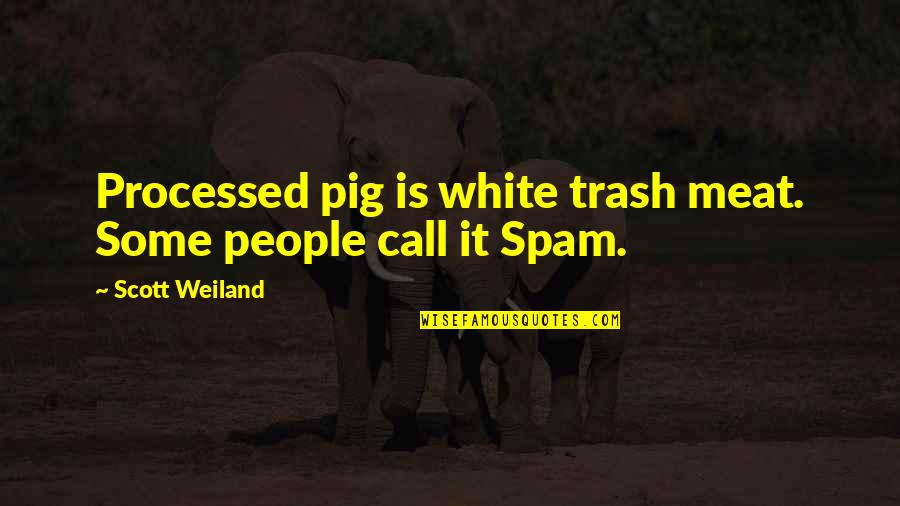 Spam Quotes By Scott Weiland: Processed pig is white trash meat. Some people Spam Quotes By Scott Weiland: Processed pig is white trash meat. Some people