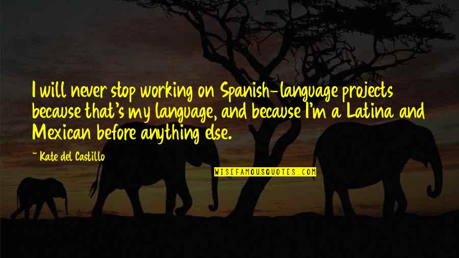 Spanish Language Quotes By Kate Del Castillo: I will never stop working on Spanish-language projects