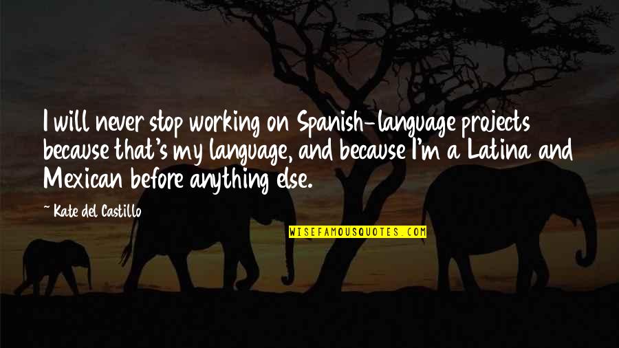 Spanish Mexican Quotes By Kate Del Castillo: I will never stop working on Spanish-language projects