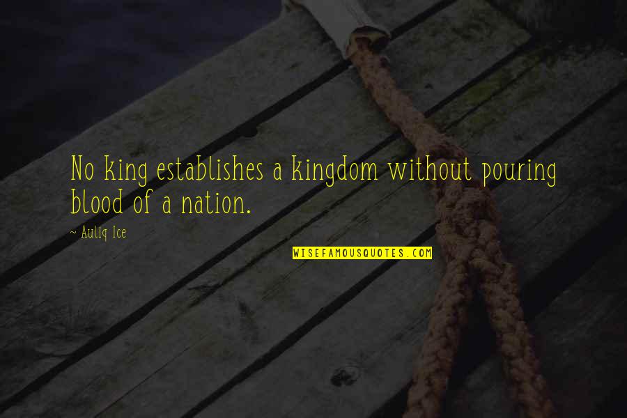 Spanish Tapas Quotes By Auliq Ice: No king establishes a kingdom without pouring blood