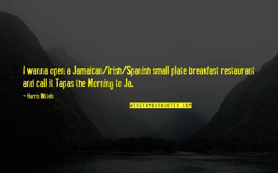 Spanish Tapas Quotes By Harris Wittels: I wanna open a Jamaican/Irish/Spanish small plate breakfast