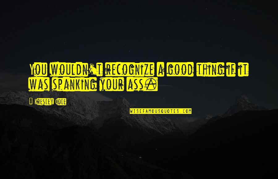 Spanking Quotes By Kresley Cole: You wouldn't recognize a good thing if it