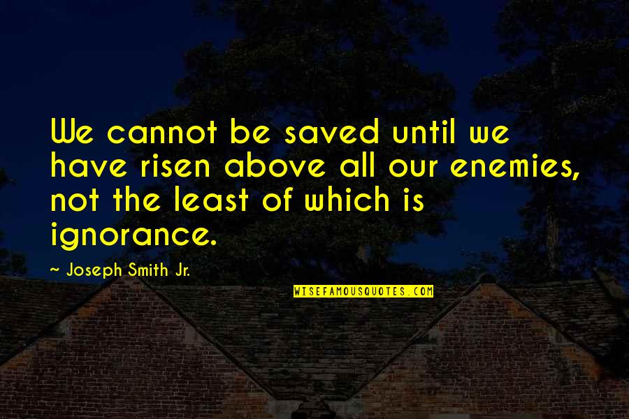Sparing The Rod Quotes By Joseph Smith Jr.: We cannot be saved until we have risen