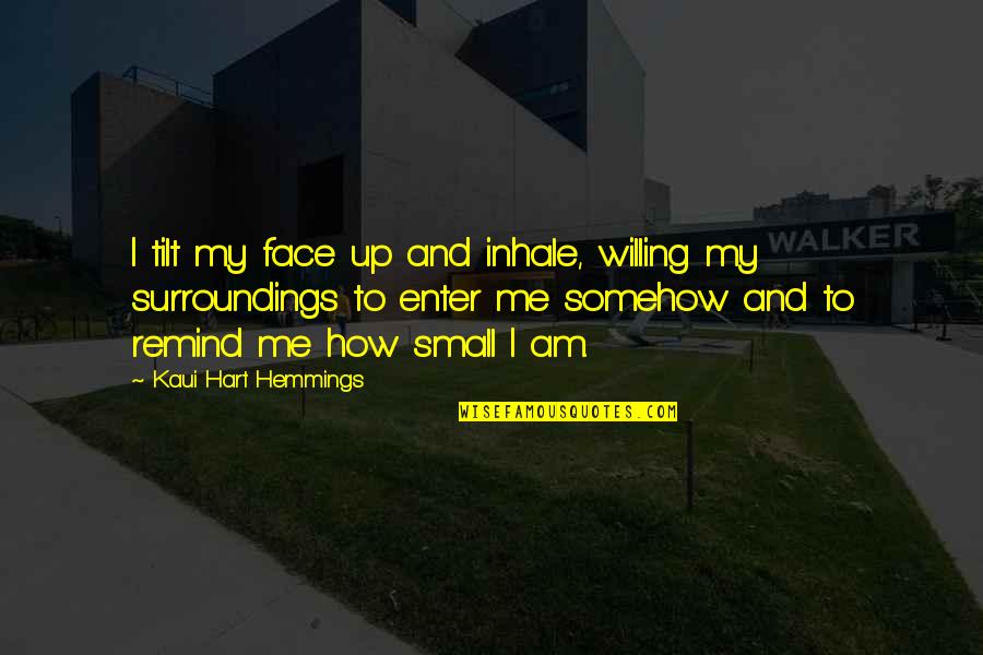 Sparirai Quotes By Kaui Hart Hemmings: I tilt my face up and inhale, willing Sparirai Quotes By Kaui Hart Hemmings: I tilt my face up and inhale, willing