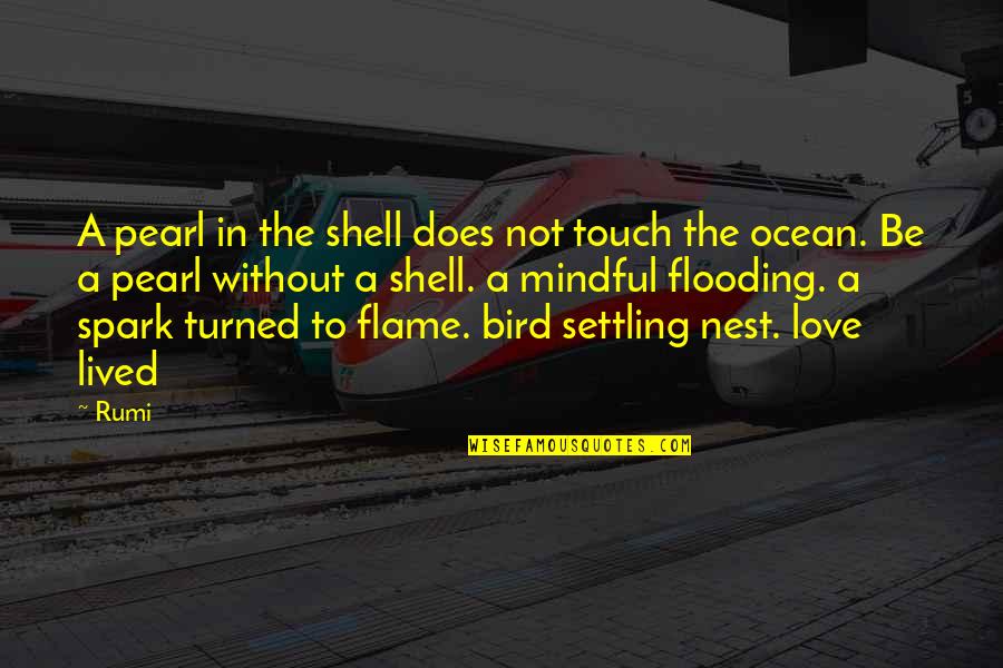 Spark Of Love Quotes By Rumi: A pearl in the shell does not touch