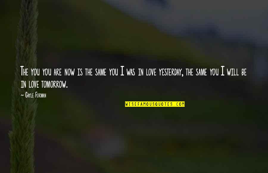 Sparklehorse Discography Quotes By Gayle Forman: The you you are now is the same Sparklehorse Discography Quotes By Gayle Forman: The you you are now is the same