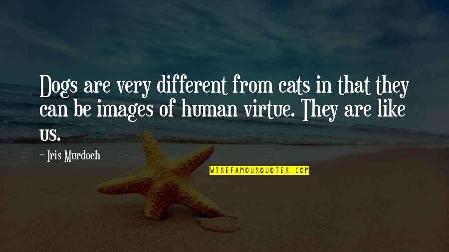 Sparkling Personality Tees Quotes By Iris Murdoch: Dogs are very different from cats in that