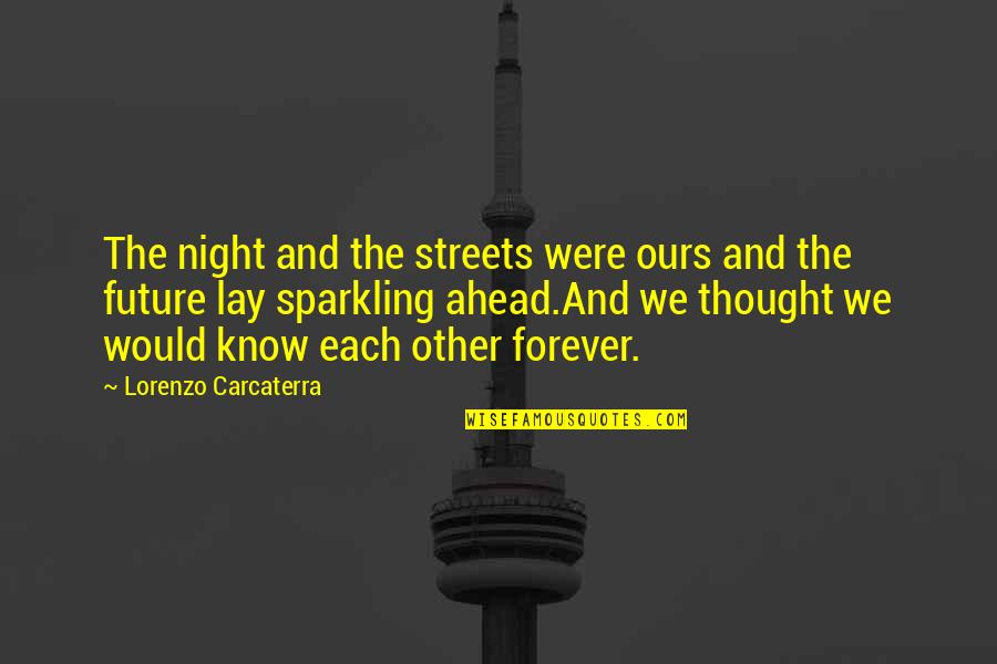 Sparkling Quotes By Lorenzo Carcaterra: The night and the streets were ours and