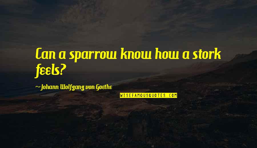 Sparrow Quotes By Johann Wolfgang Von Goethe: Can a sparrow know how a stork feels?