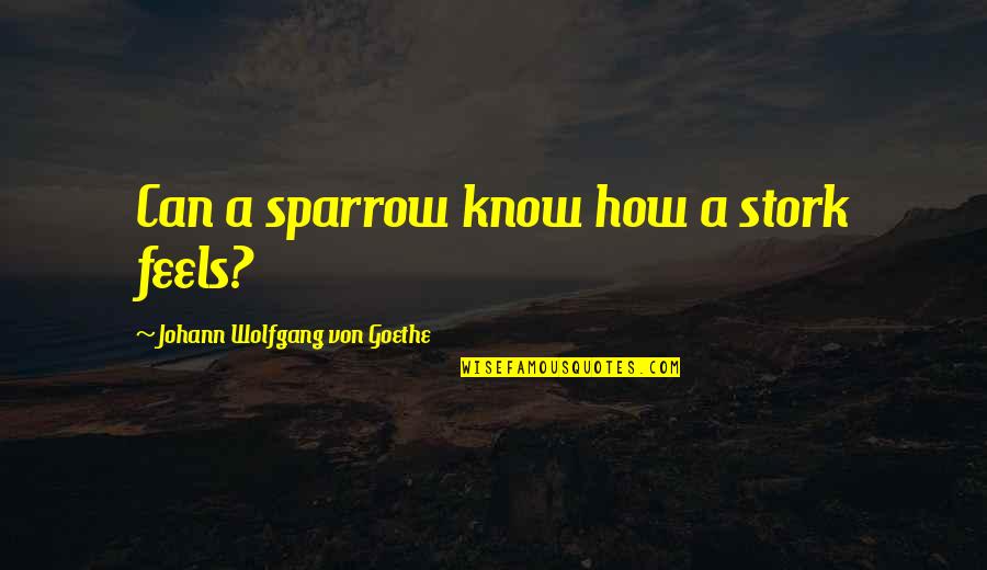 Sparrows Quotes By Johann Wolfgang Von Goethe: Can a sparrow know how a stork feels?