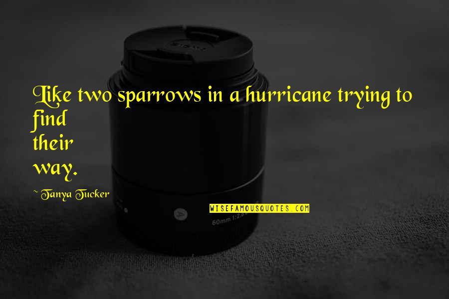 Sparrows Quotes By Tanya Tucker: Like two sparrows in a hurricane trying to