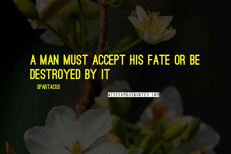 Spartacus quotes: A man must accept his fate or be destroyed by it