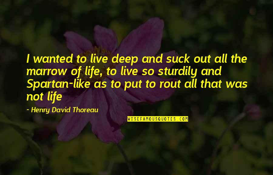 Spartan Life Quotes By Henry David Thoreau: I wanted to live deep and suck out