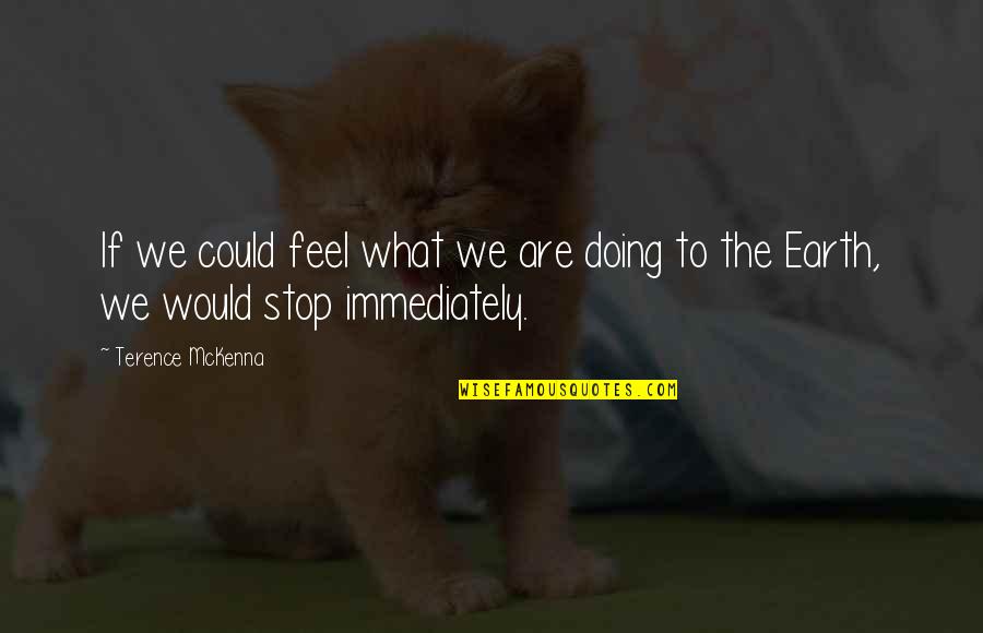 Spartan Race Wod Quotes By Terence McKenna: If we could feel what we are doing