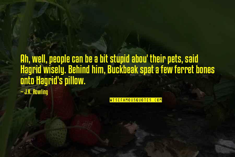 Spat Quotes By J.K. Rowling: Ah, well, people can be a bit stupid Spat Quotes By J.K. Rowling: Ah, well, people can be a bit stupid