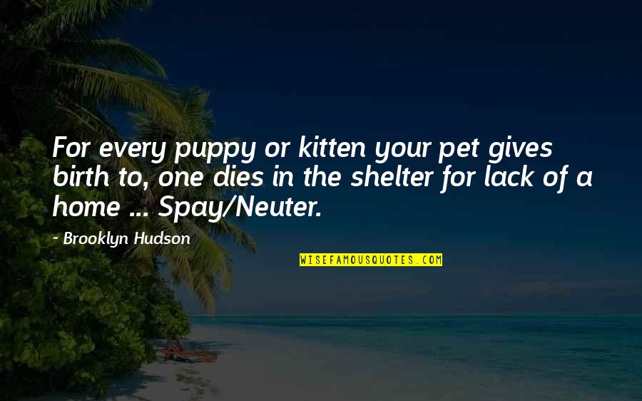 Spay And Neuter Quotes By Brooklyn Hudson: For every puppy or kitten your pet gives Spay And Neuter Quotes By Brooklyn Hudson: For every puppy or kitten your pet gives