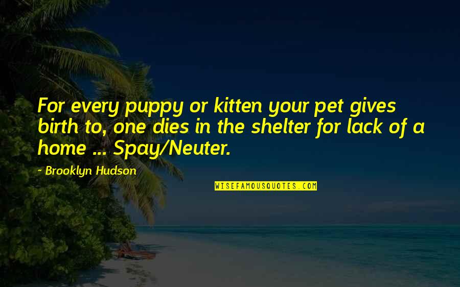 Spay And Neuter Your Pet Quotes By Brooklyn Hudson: For every puppy or kitten your pet gives