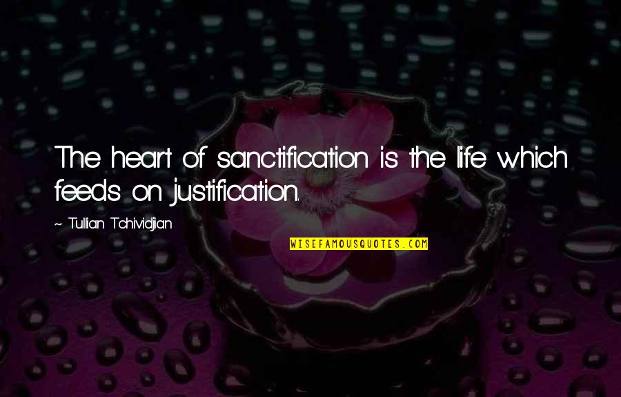Speak To Me In Energy Quotes By Tullian Tchividjian: The heart of sanctification is the life which