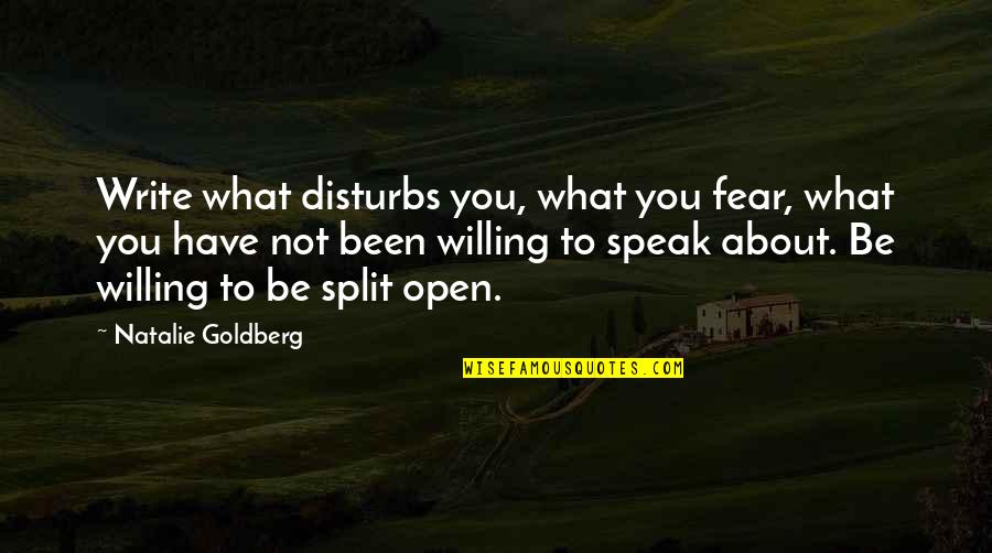 Speak To Your Soul Quotes By Natalie Goldberg: Write what disturbs you, what you fear, what