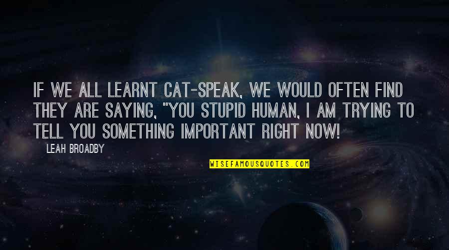 Speak Up Quotes Quotes By Leah Broadby: If we all learnt cat-speak, we would often