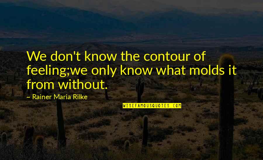 Speak Your Mind Famous Quotes By Rainer Maria Rilke: We don't know the contour of feeling;we only