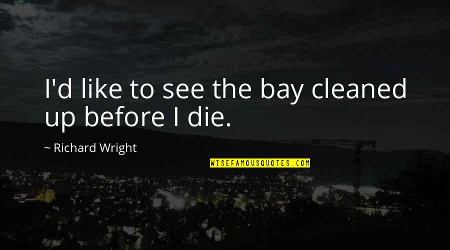 Speaking Only When Necessary Quotes By Richard Wright: I'd like to see the bay cleaned up