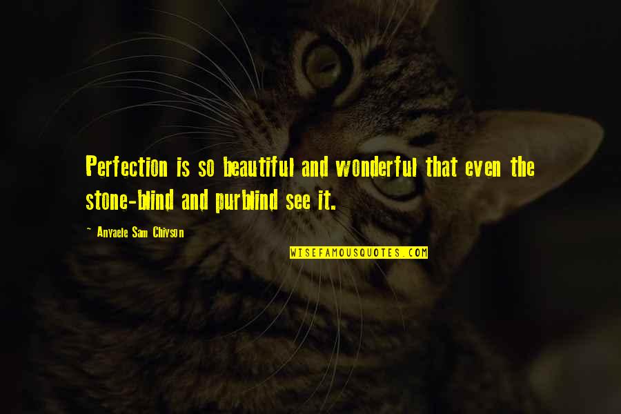 Speaking The Truth In Love Quotes By Anyaele Sam Chiyson: Perfection is so beautiful and wonderful that even