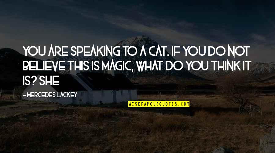 Speaking Up For What You Believe Quotes By Mercedes Lackey: You are speaking to a cat. If you