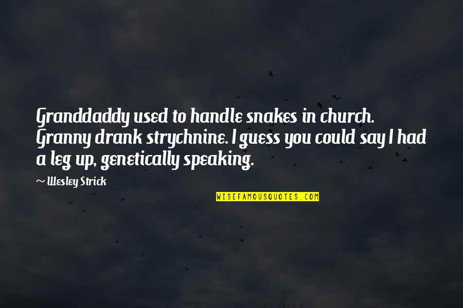 Speaking Up Quotes By Wesley Strick: Granddaddy used to handle snakes in church. Granny