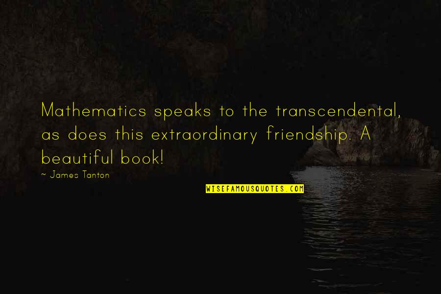 Speaks Quotes By James Tanton: Mathematics speaks to the transcendental, as does this