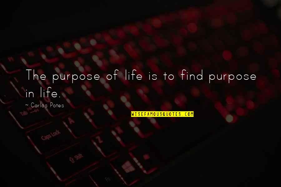 Special Lady Love Quotes By Carlos Potes: The purpose of life is to find purpose