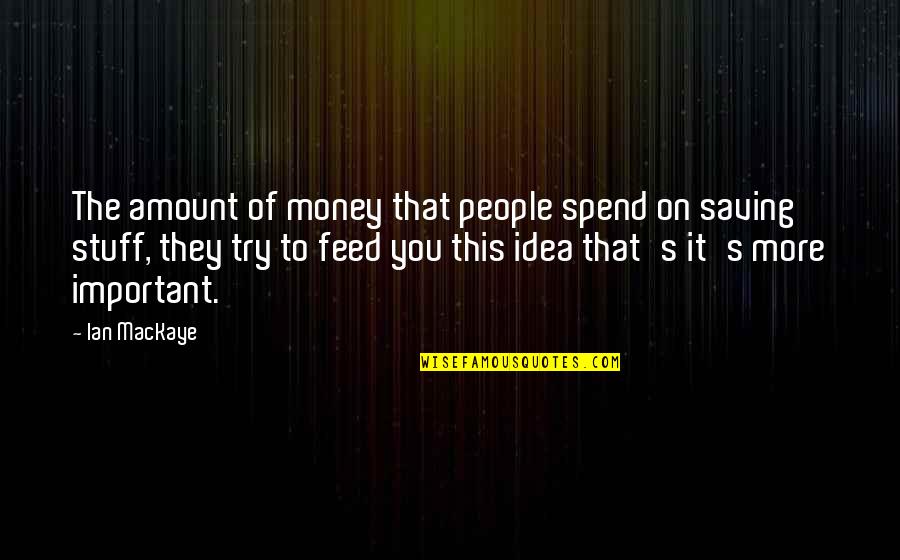 Special People Coming Into Your Life Quotes By Ian MacKaye: The amount of money that people spend on