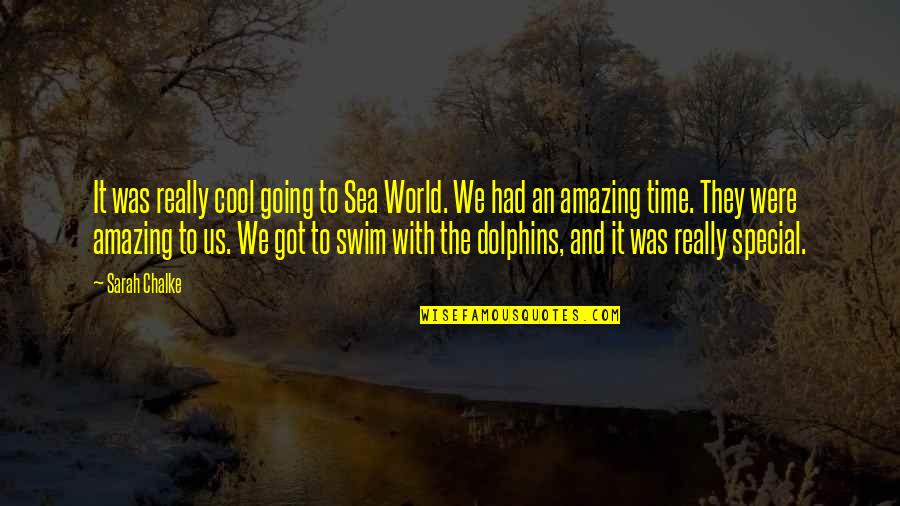 Special Time Quotes By Sarah Chalke: It was really cool going to Sea World.