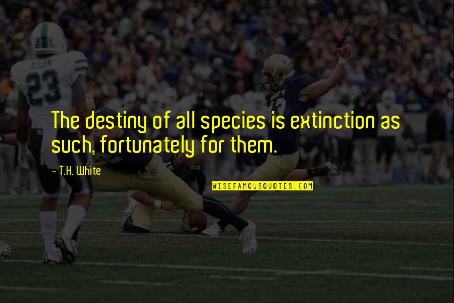Species Extinction Quotes By T.H. White: The destiny of all species is extinction as