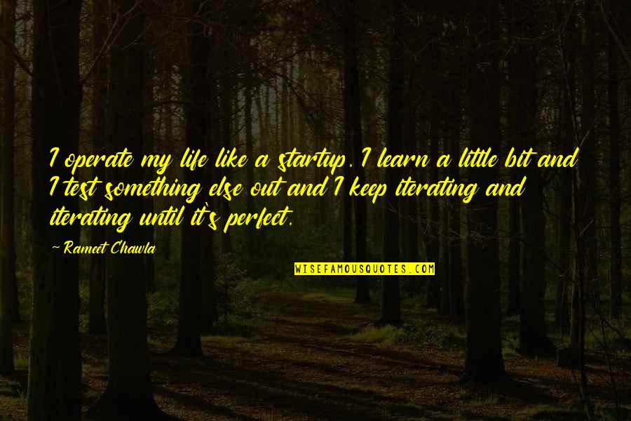 Species Longevity Quotes By Rameet Chawla: I operate my life like a startup. I Species Longevity Quotes By Rameet Chawla: I operate my life like a startup. I