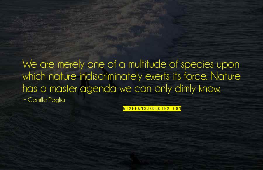 Species Quotes By Camille Paglia: We are merely one of a multitude of