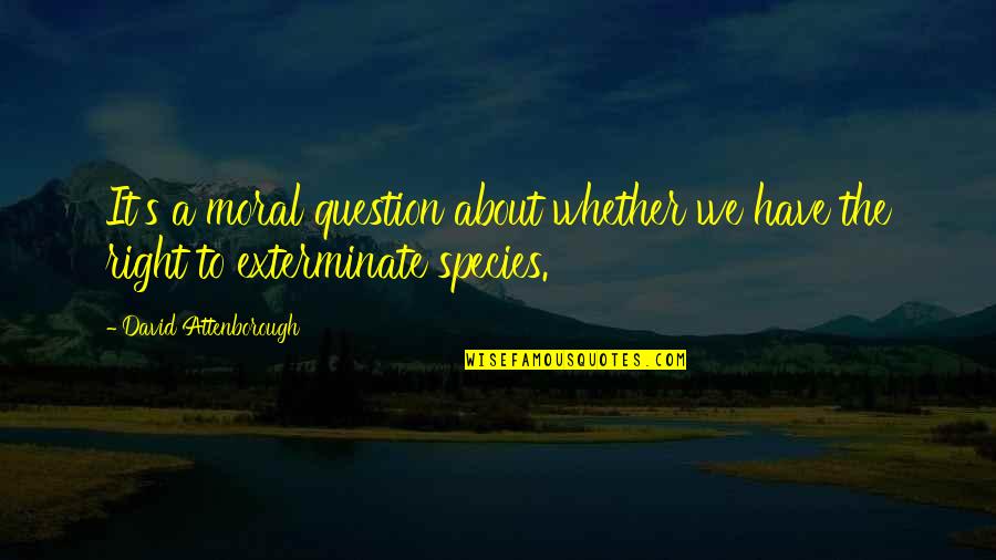 Species Quotes By David Attenborough: It's a moral question about whether we have