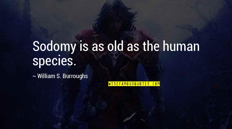 Species's Quotes By William S. Burroughs: Sodomy is as old as the human species.