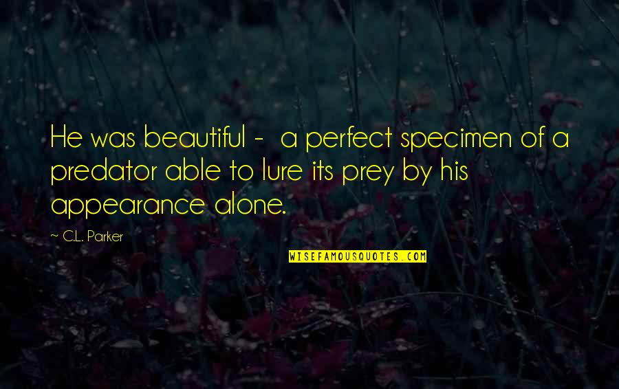 Specimen's Quotes By C.L. Parker: He was beautiful - a perfect specimen of
