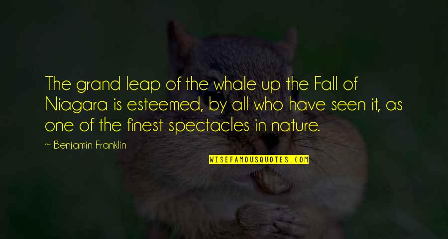Spectacles Quotes By Benjamin Franklin: The grand leap of the whale up the