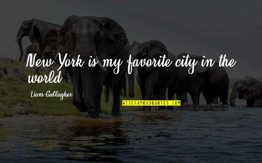 Speculatores Quotes By Liam Gallagher: New York is my favorite city in the