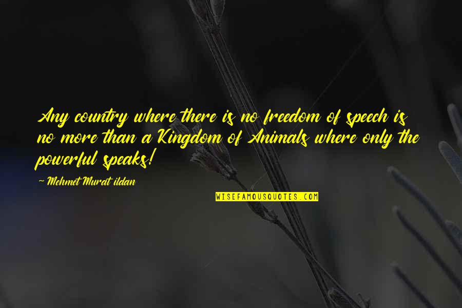Speech Quotes And Quotes By Mehmet Murat Ildan: Any country where there is no freedom of