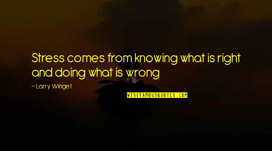 Speech Topics Quotes By Larry Winget: Stress comes from knowing what is right and