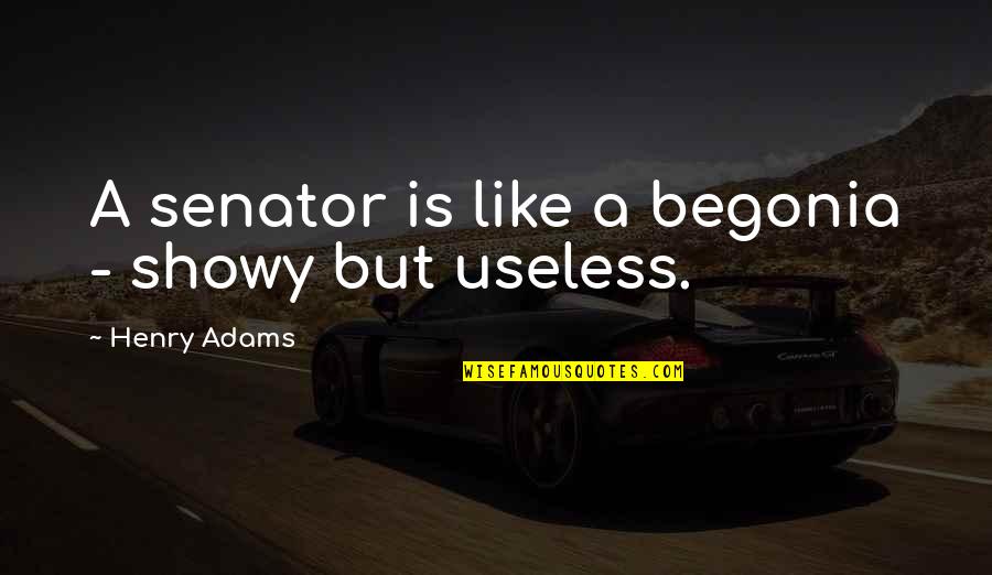 Speed Dating Quotes By Henry Adams: A senator is like a begonia - showy